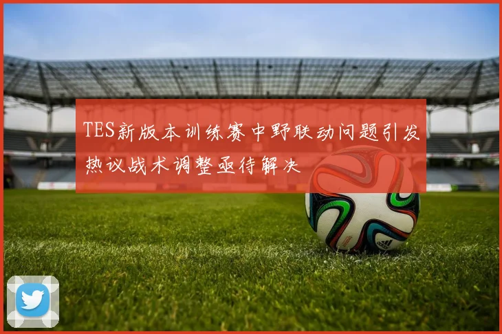 TES新版本训练赛中野联动问题引发热议战术调整亟待解决